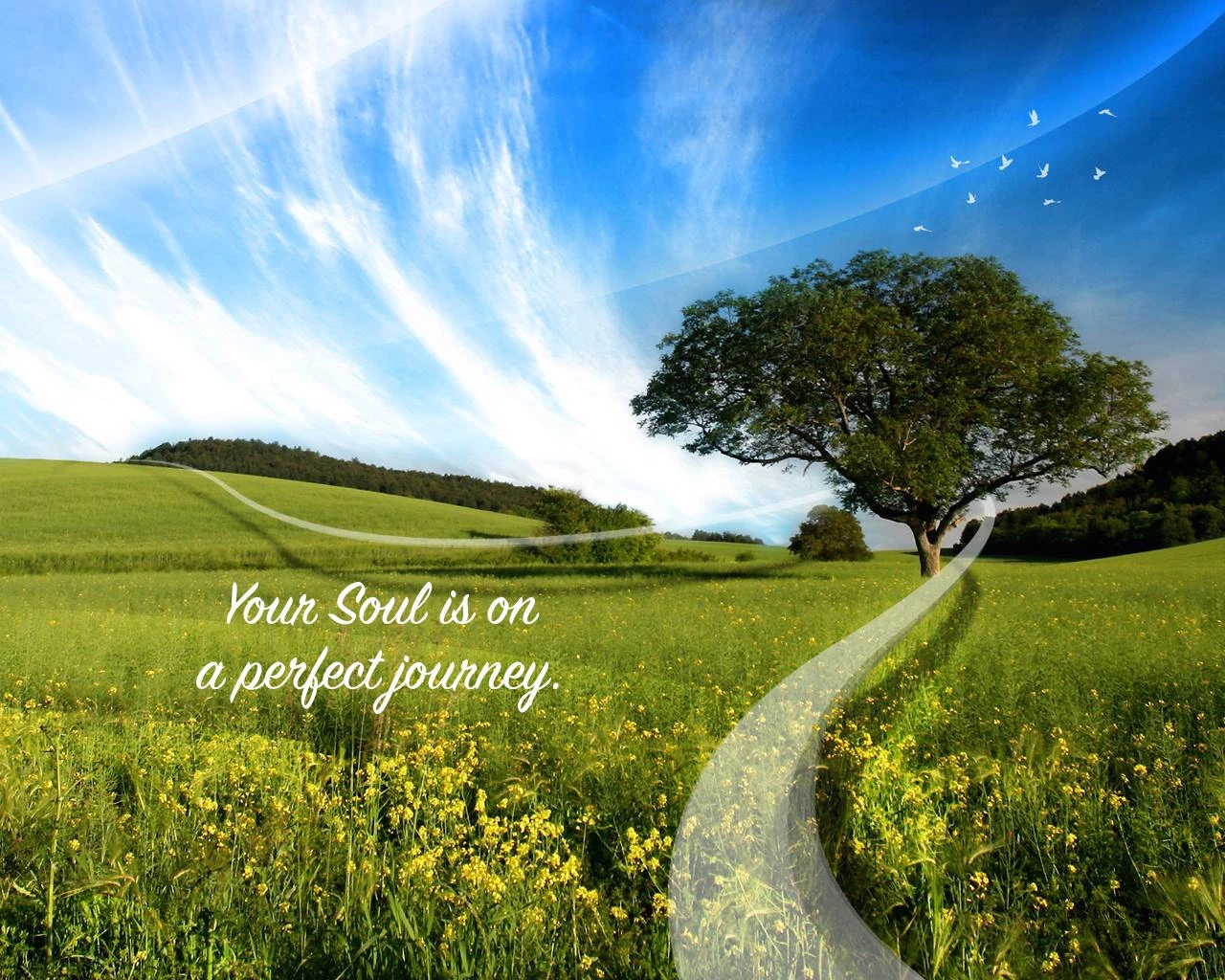 1558-path-with-words.jpg