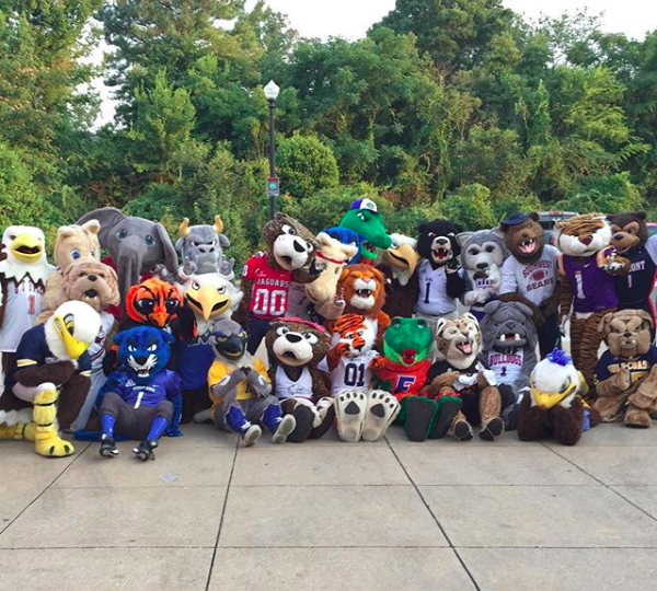 2015 Camp 254-camp-2015.png