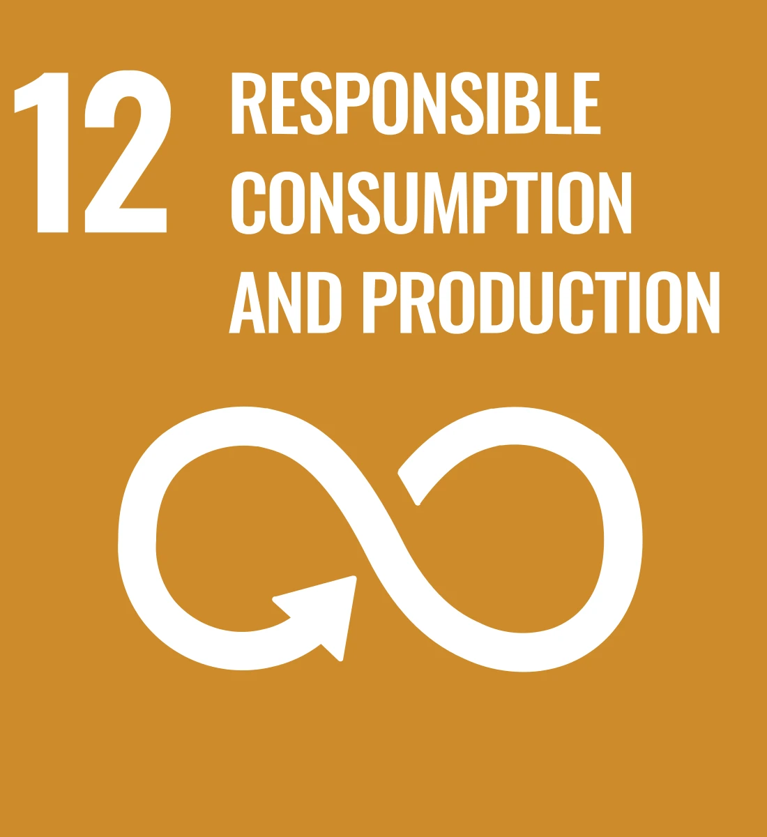 49011001200264-sustainabledevelopmentgoal12responsibleconsumptionsvg-1690304295549.png