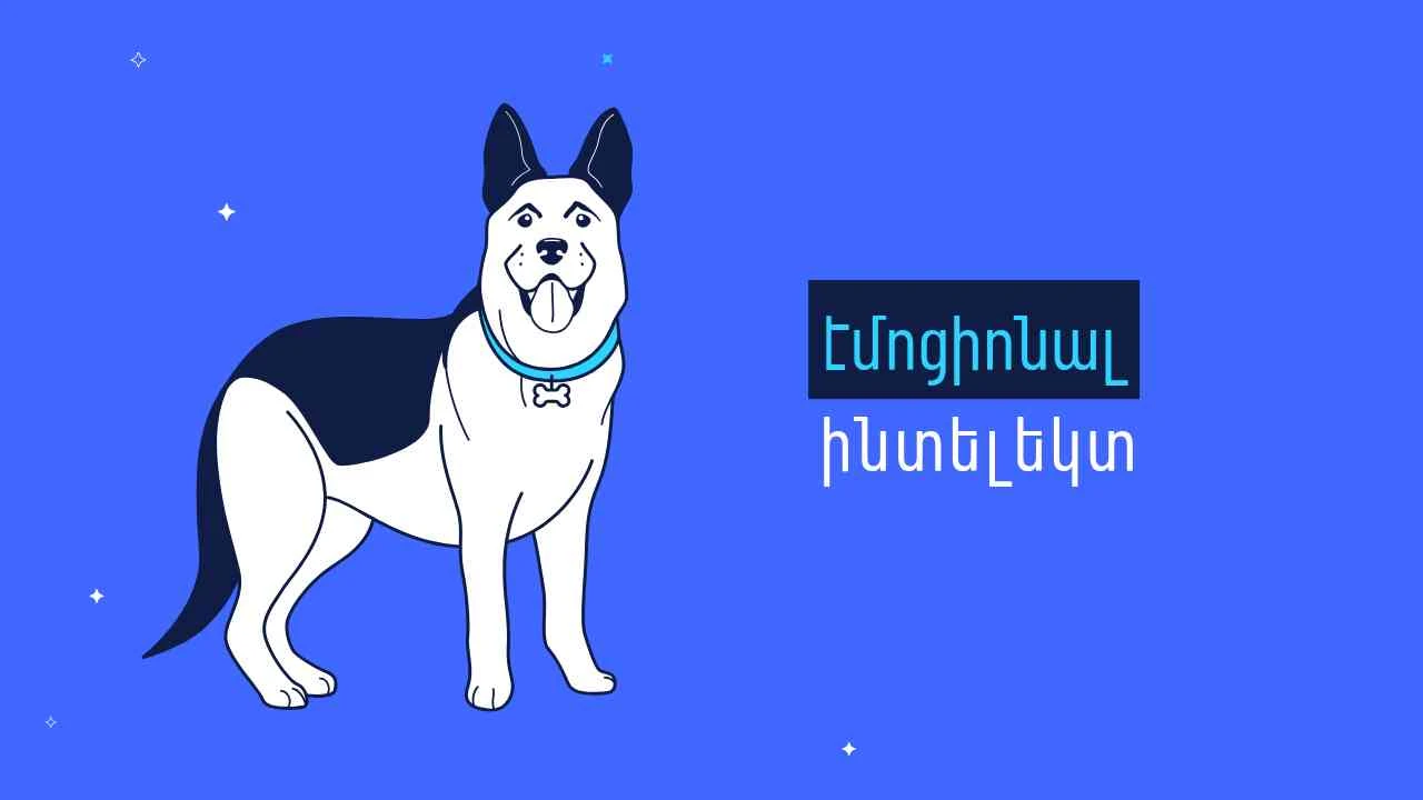 Ի՞նչ է էմոցիոնալ ինտելեկտը և ինչո՞ւ է այն կարևոր
