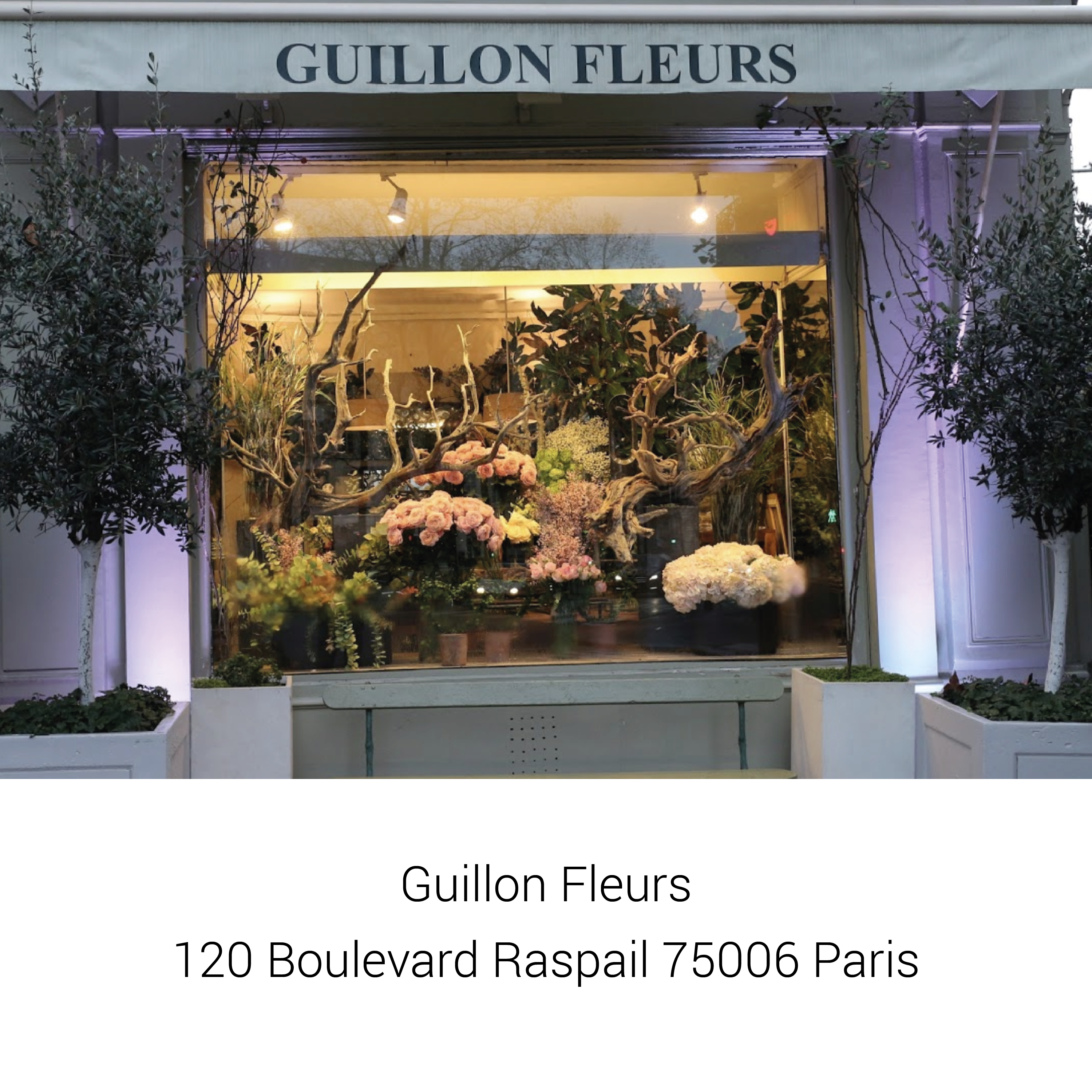 Guillon Fleurs