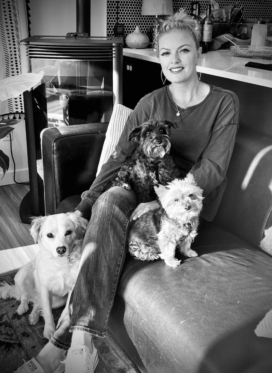 2594-bandwdogs-16873006634342.jpg