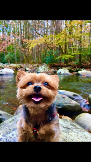 2594-scoutriver-16873057492664.png