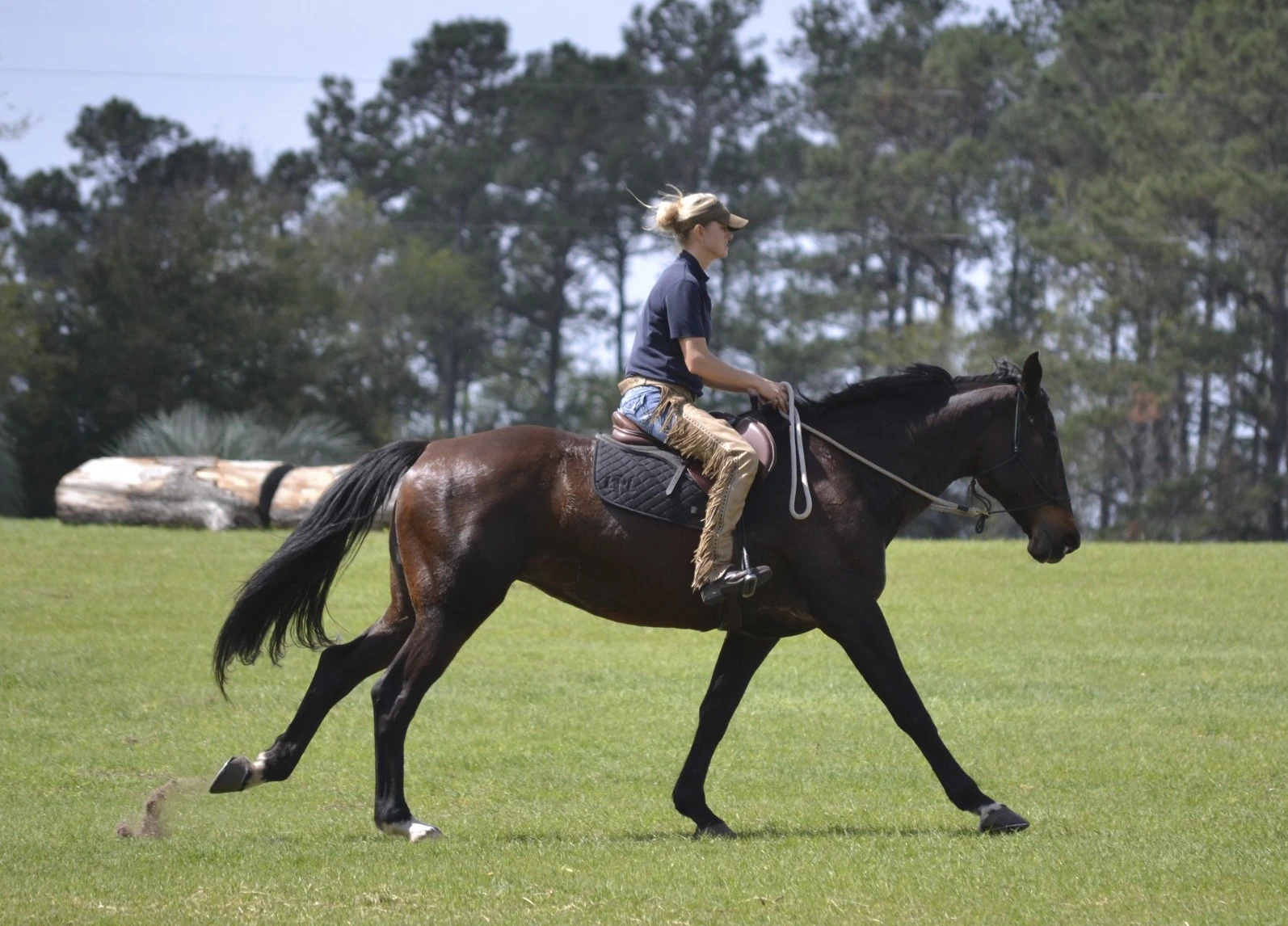 2597-casual-canter-2-16896369998242.jpg