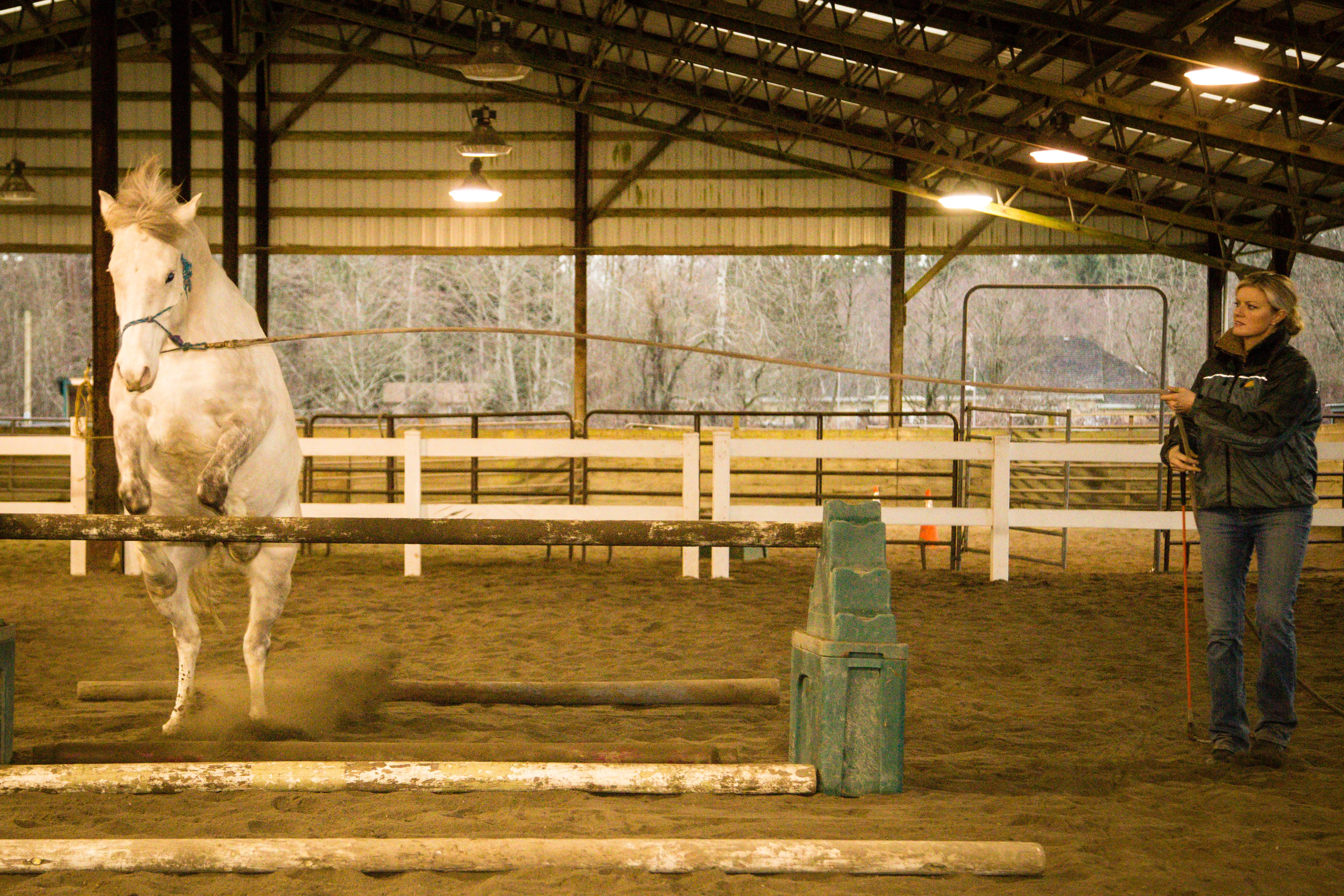 2597-jumping-2353-16873052145141.jpg