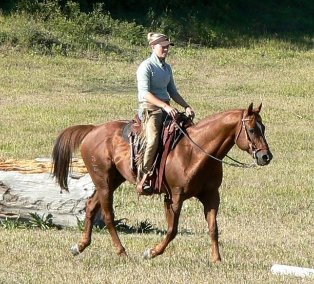 2597-lee-palmer--ranch-horse-16873052394128.jpg