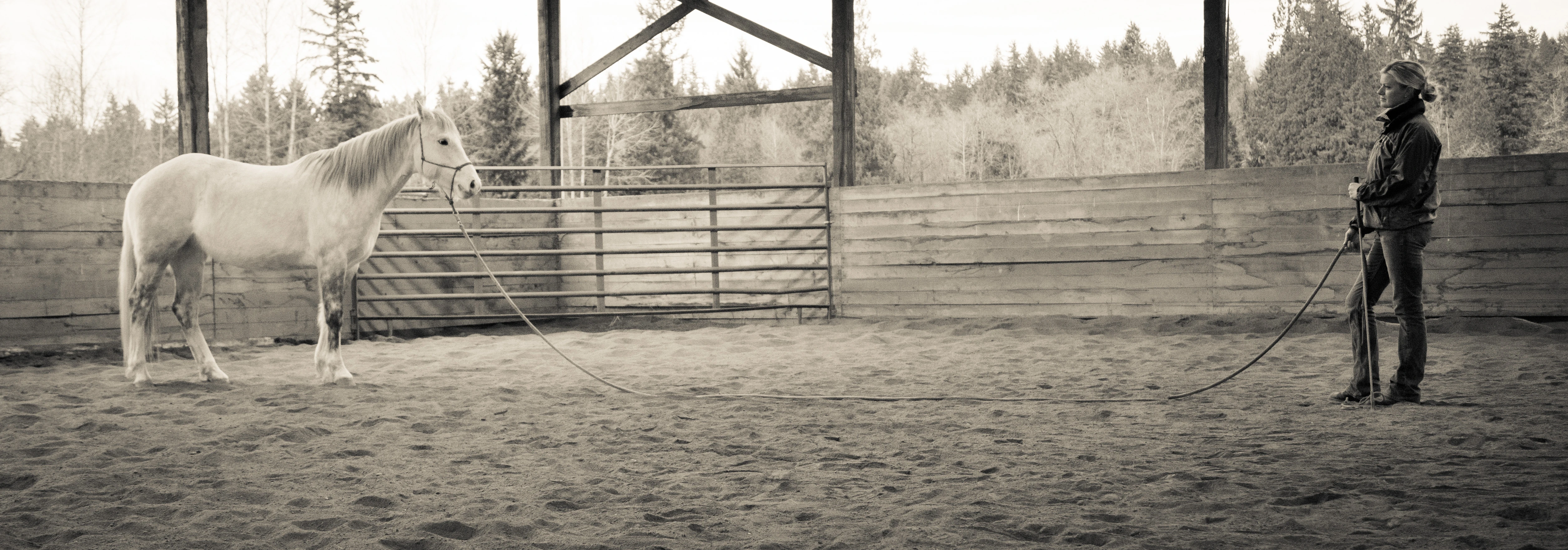 2597-natural-horsemanship-2265-2-16873052557117.jpg