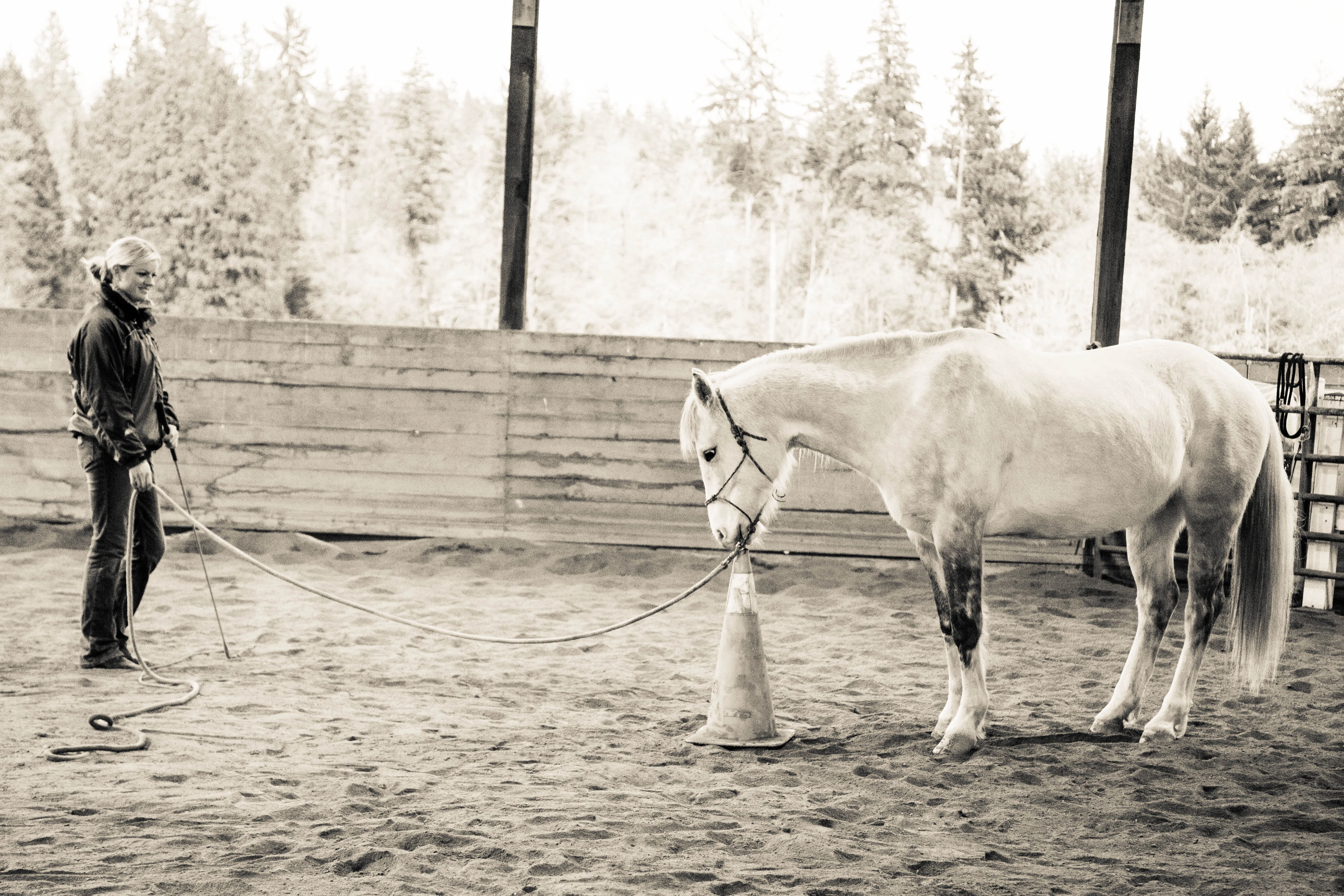 2597-natural-horsemanship-2297-16873052628138.jpg
