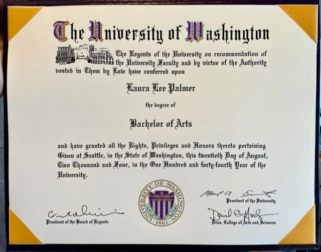 2608-bachelors-degree-16874542277071.jpg