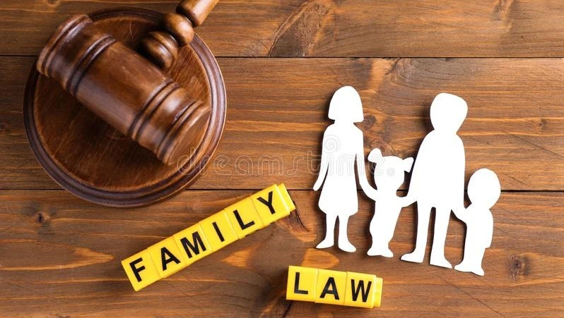 041798451675-flat-lay-composition-figure-gavel-wooden-background-family-law-concept-163003967.jpeg