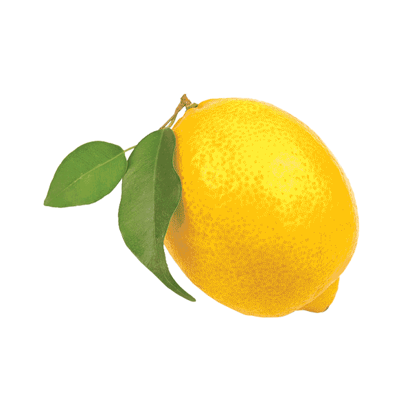3703-lemon--15318493130257.gif
