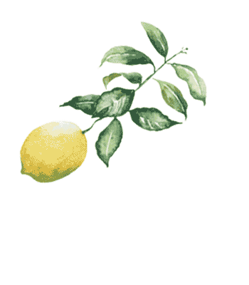 r1-lemon.gif