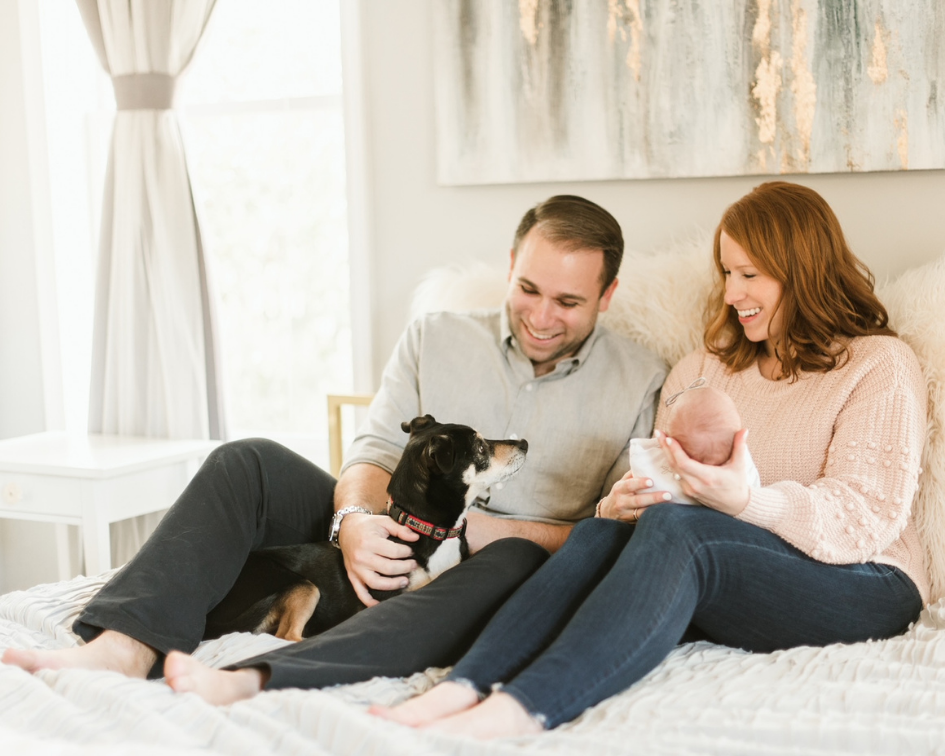 How to happily have Baby and Dog Coexist