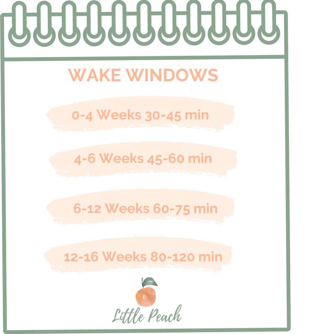Newborn wake windows