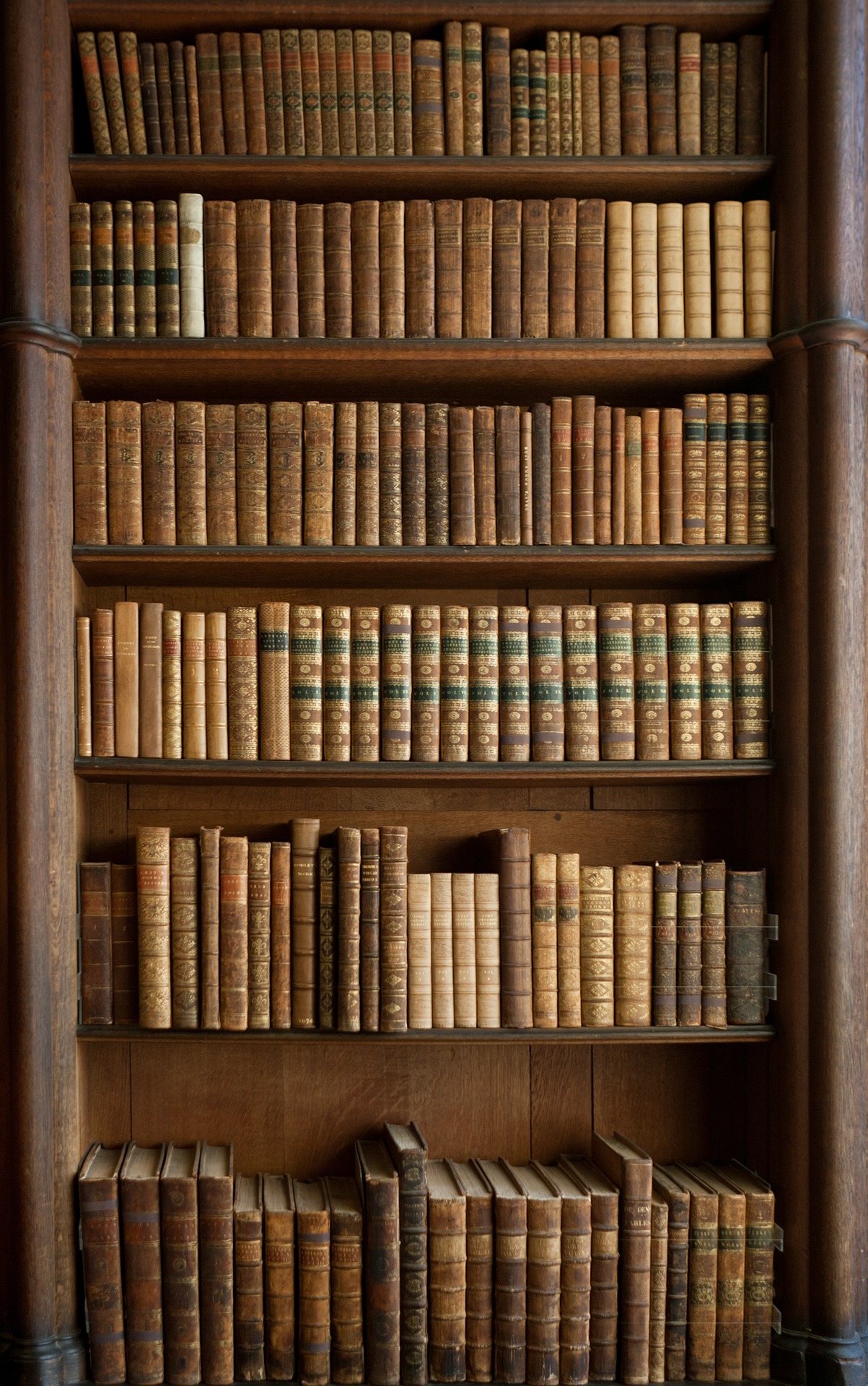 85-books-gc9fe1ef5c1920-16778804244328.jpg