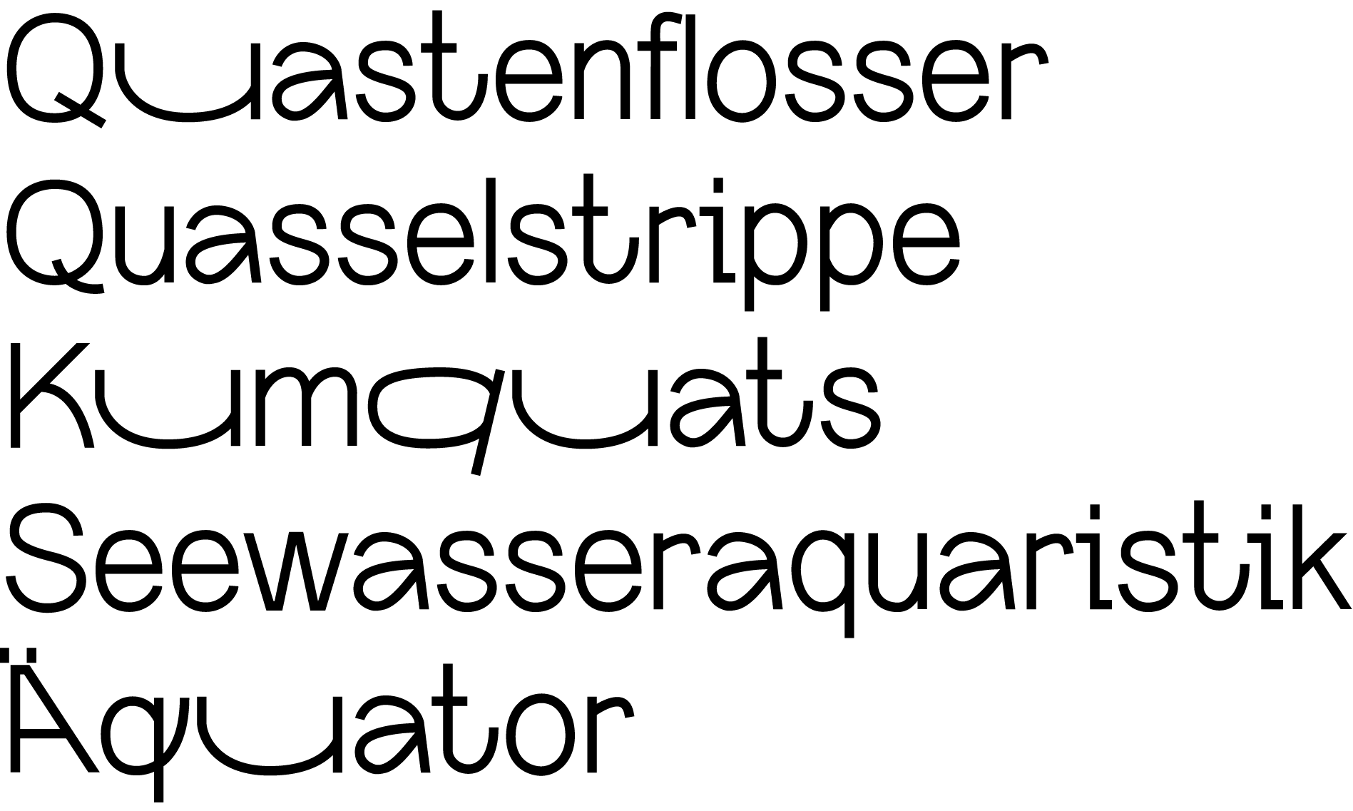 1201-loretta-basic-schriftbild-11-17092383553434.png