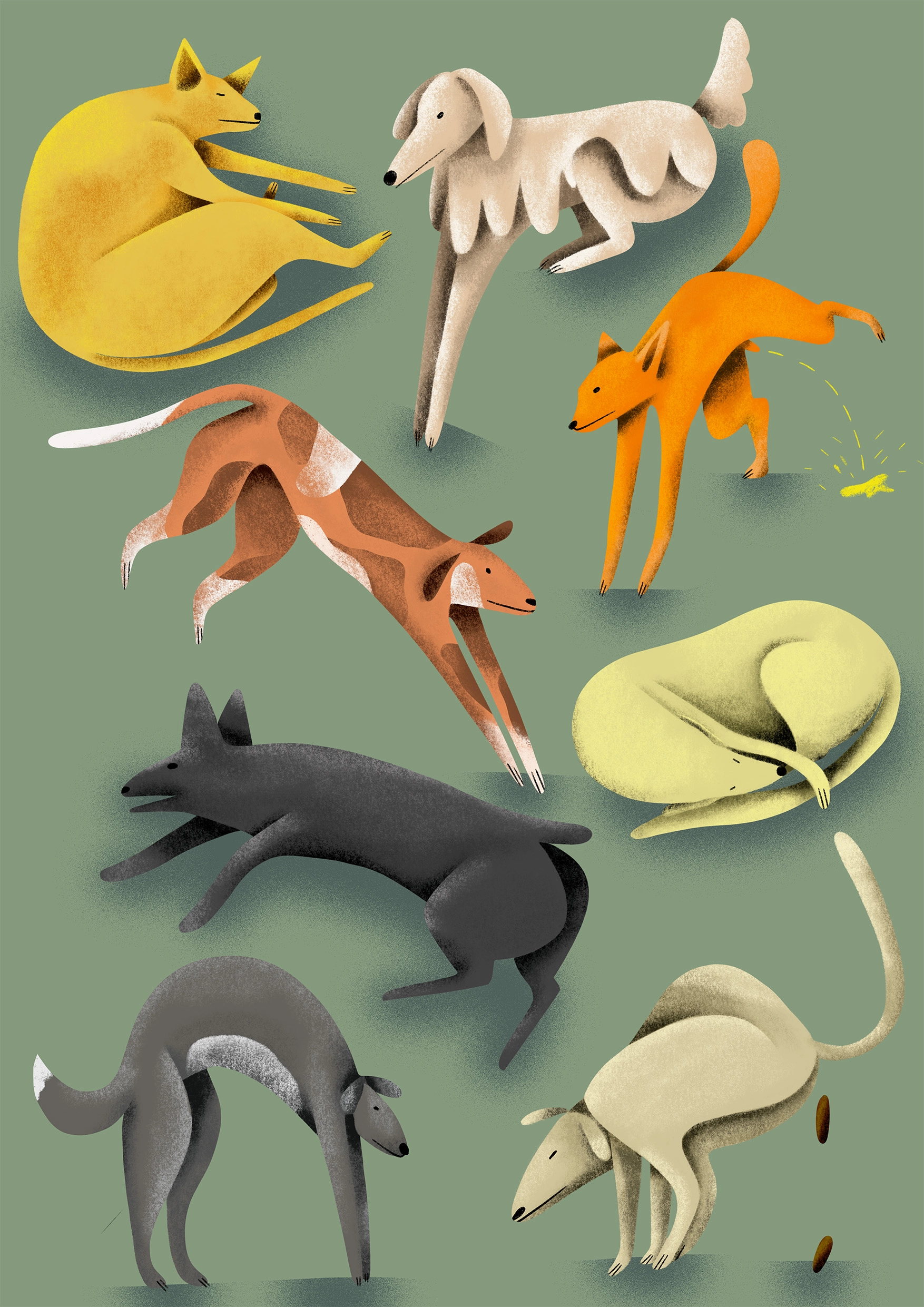 996-loretta-ipsum-illustration-dogs-dogstuff.jpg