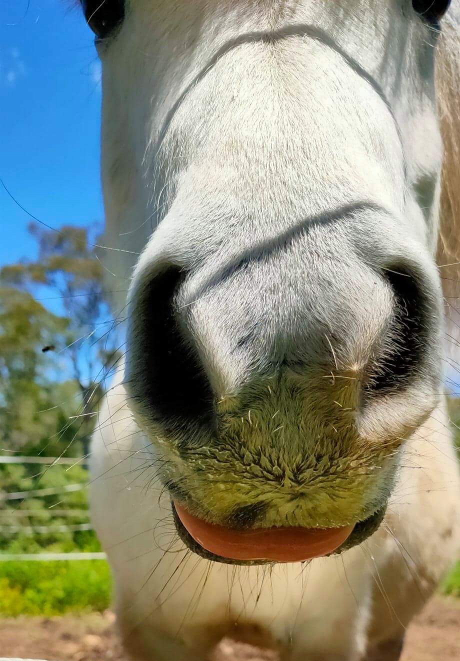 VIRTUAL EXPERIENCES VIRTUAL EXPERIENCES