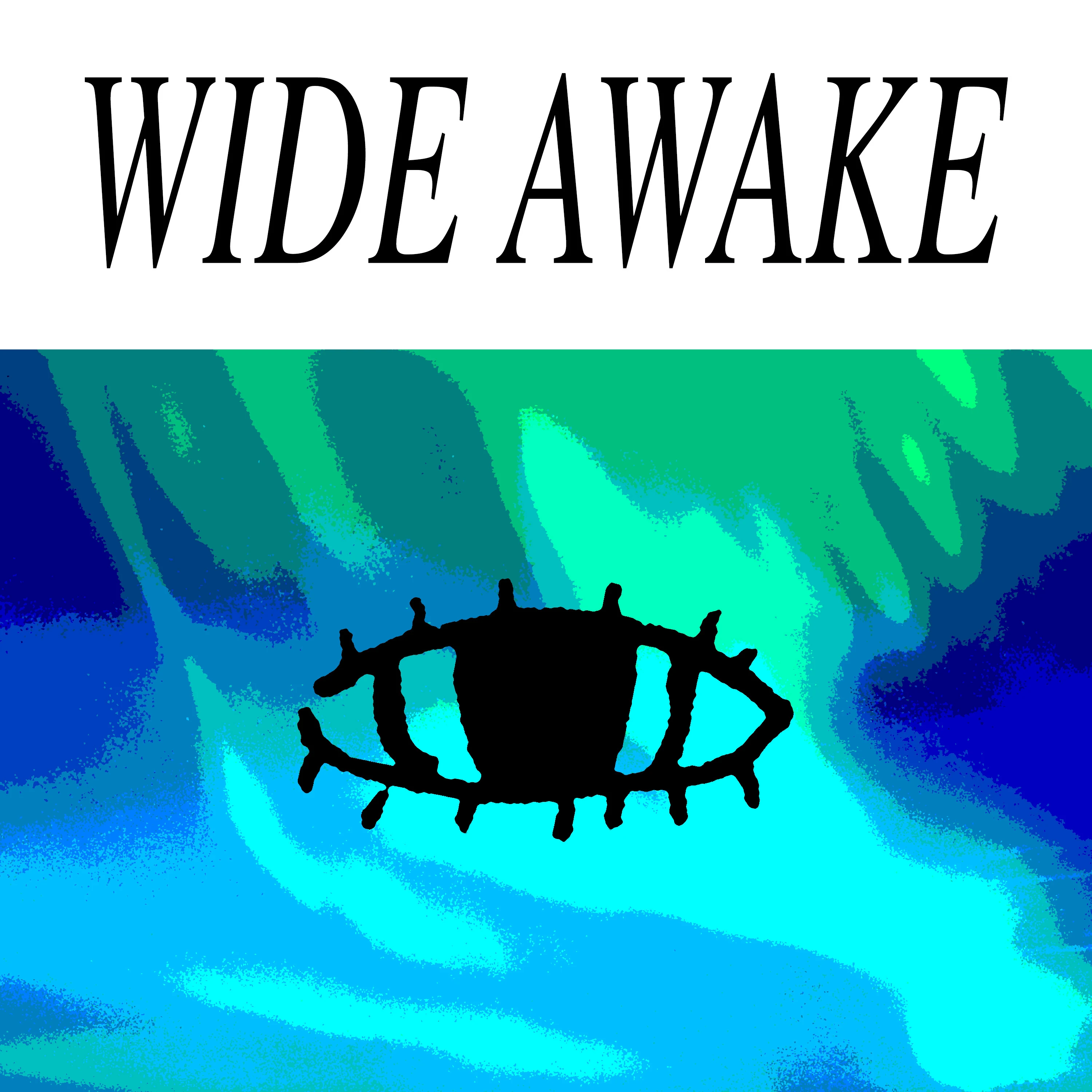 336-wide-awake-17250442161683.jpg