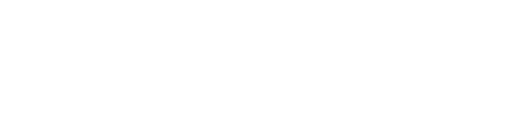 317-2024---lowercase-logo---transparent-17374860798573.png