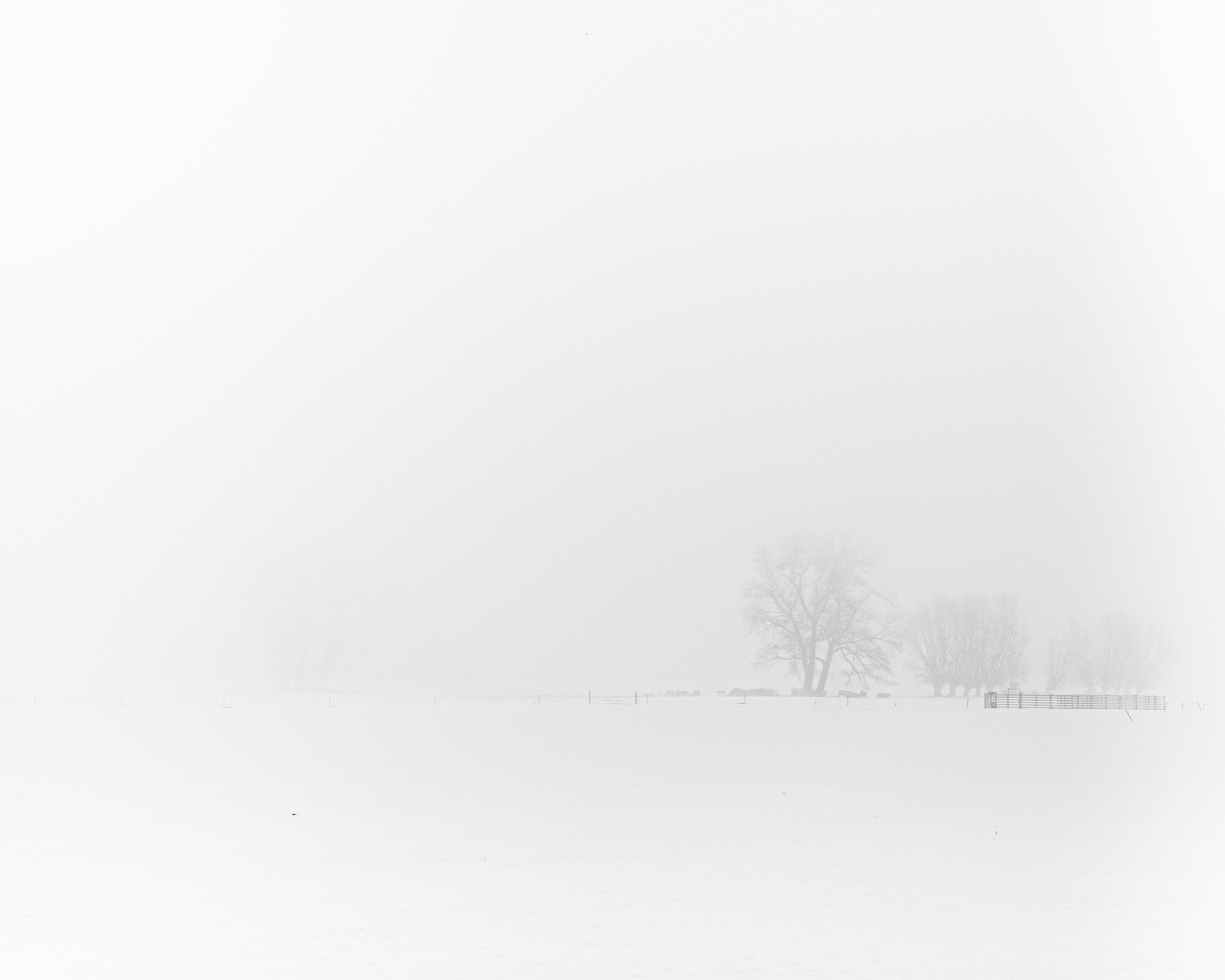 127-nebel-und-schnee.jpg