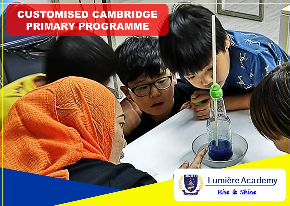 Customised Cambridge Primary Programme at Lumiere Academy Homeschool Centre, Ara Damansara, PJ Petaling Jaya, Selangor, Malaysia