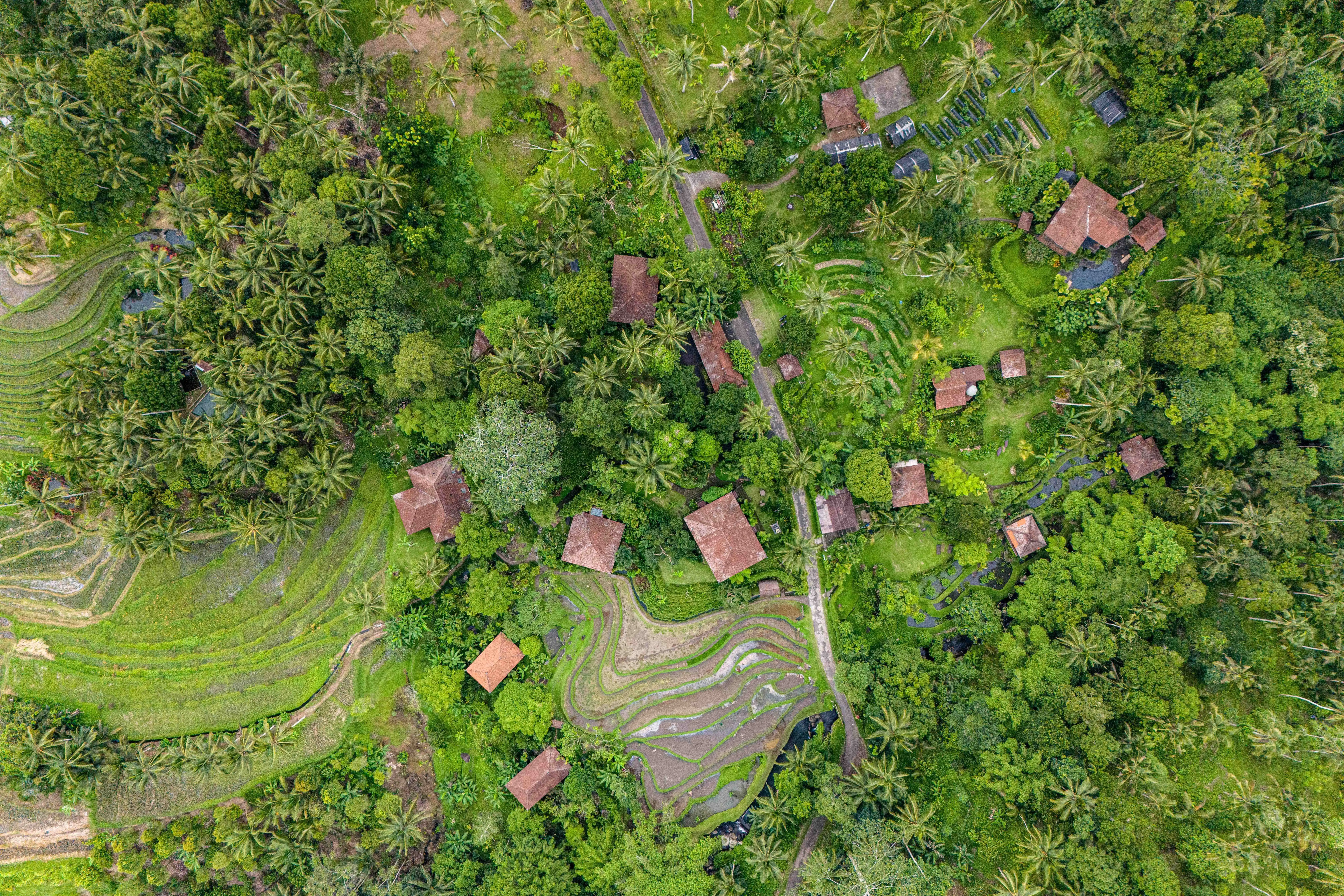 Aerial View of Bali Eco Stay Retreat Venue in the Mountains of Bali Aerial view of Bali Eco Stay retreat venue in Bali, surrounded by lush tropical jungle and terraced rice fields
