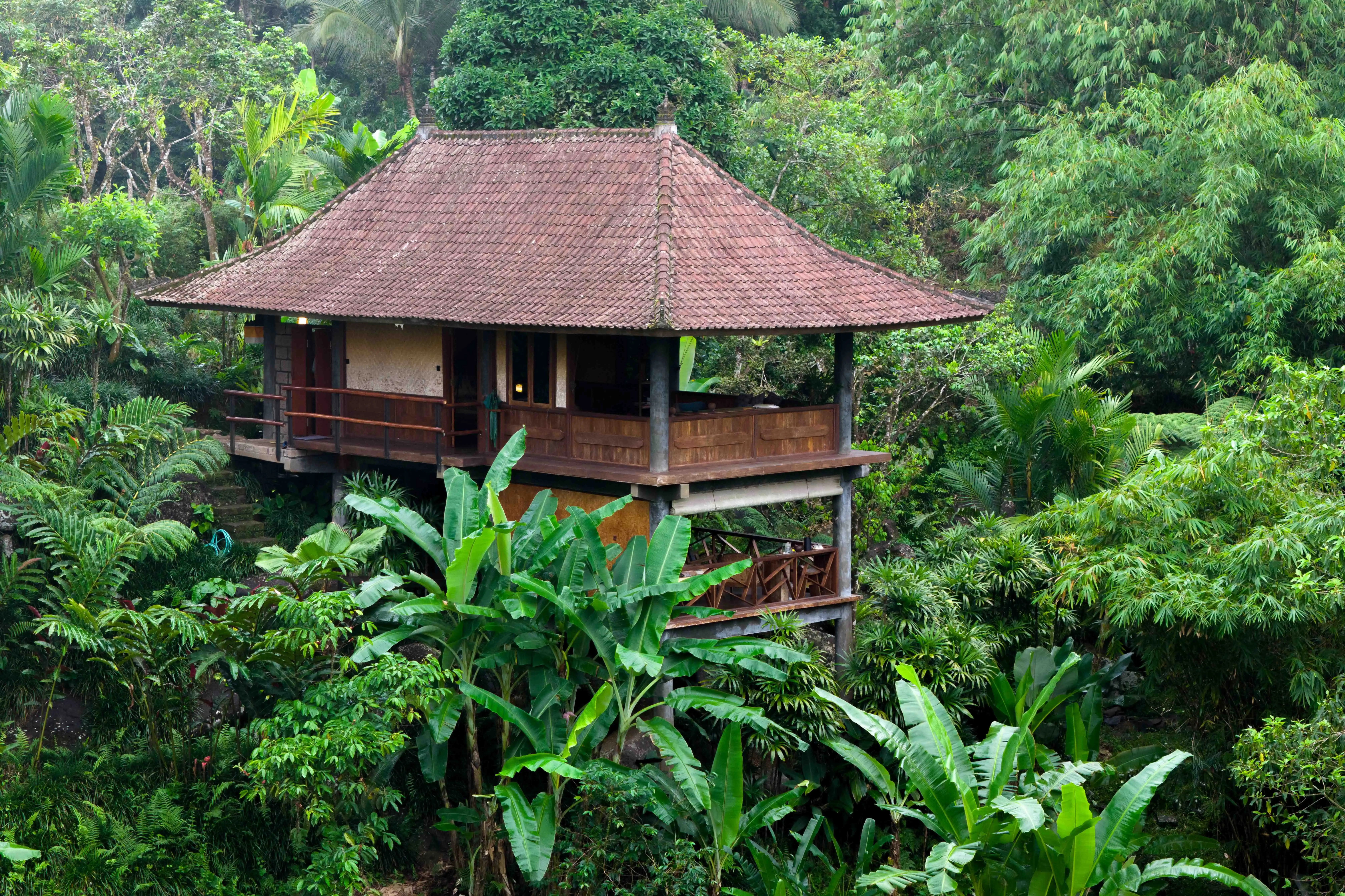 1913-remi-chapeaublancwaterfall-bungalowdji202403031818490141d-17494337037482.jpg