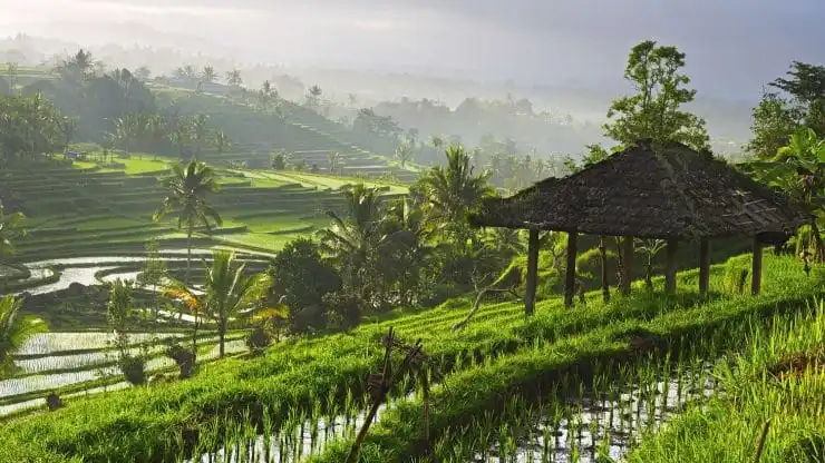 2018-sixty-and-mewhat-i-learned-about-finding-balance-in-the-jungles-of-bali-740x416-17495670183169.jpg