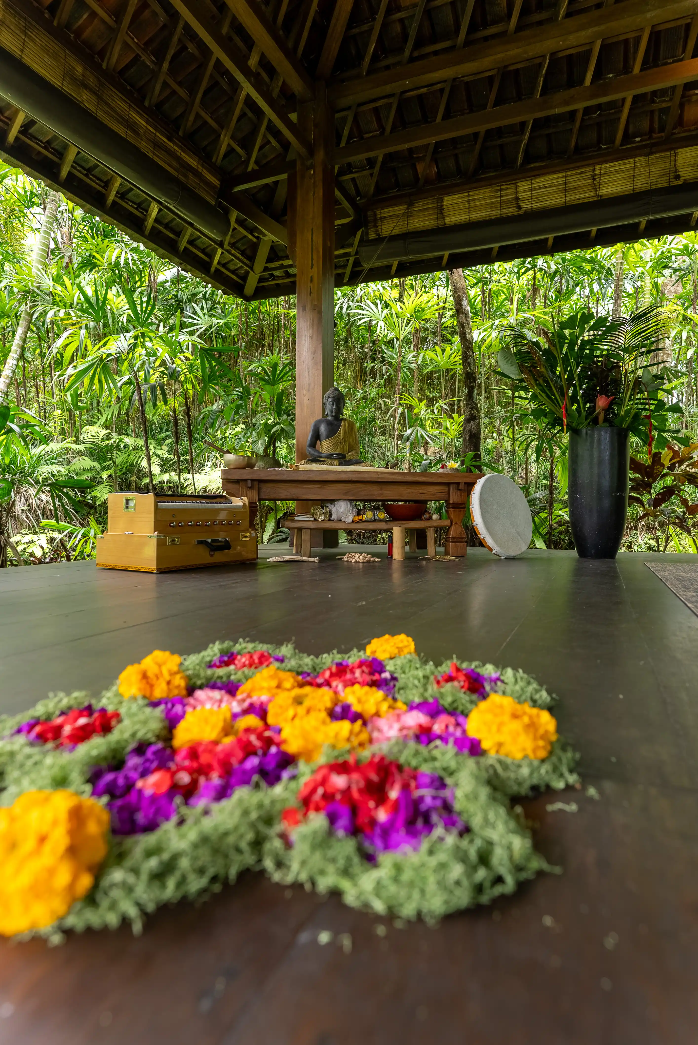 2199-baliecostayremichapeaublancyoga-swing-01-17497029220955.jpg