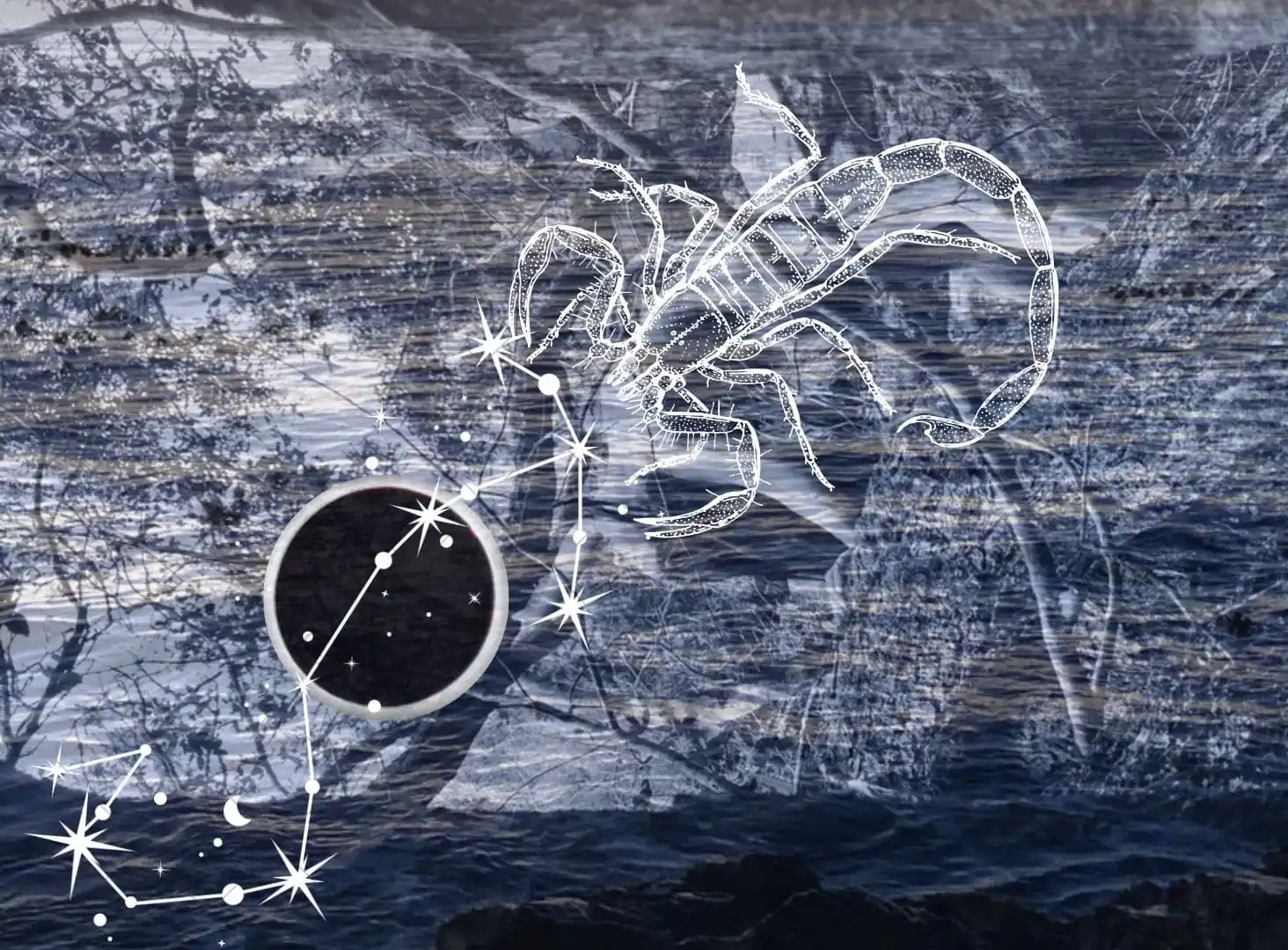 Welcome Scorpio Season - Transmutation Time - 2022