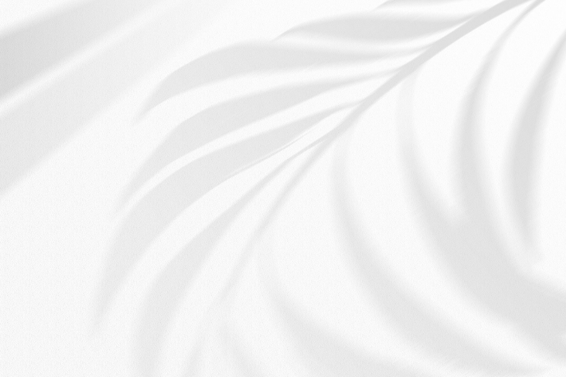 r954-website-moodboard-4-17494282907364.jpg