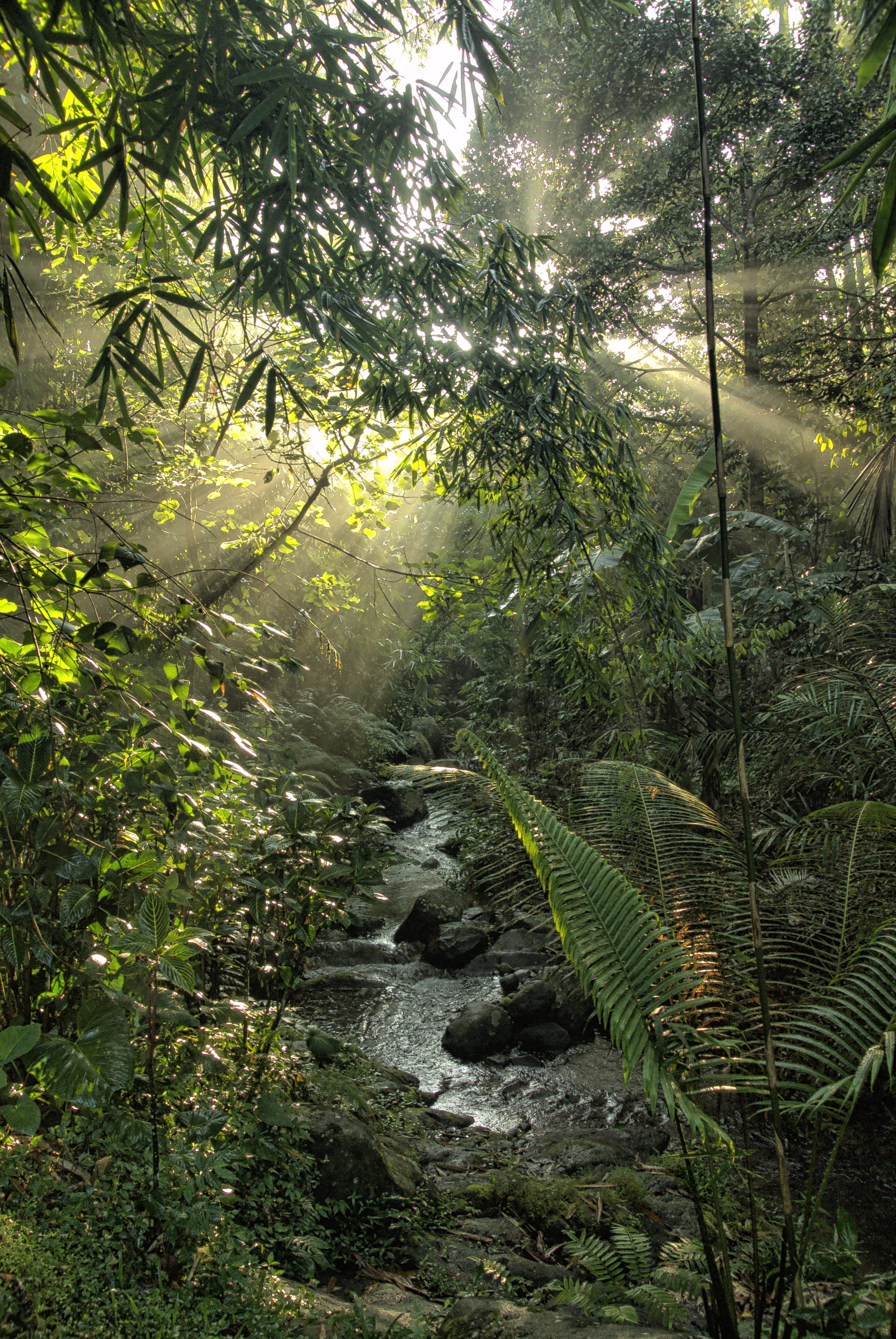 r957-rw-creek1-min-17340853269302.jpeg