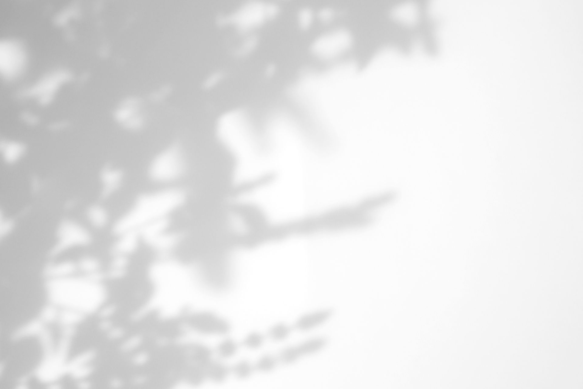 r961-website-moodboard-5-17494335583681.jpg