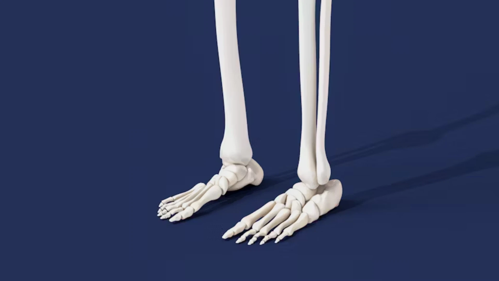 Let’s Talk Osteoporosis!