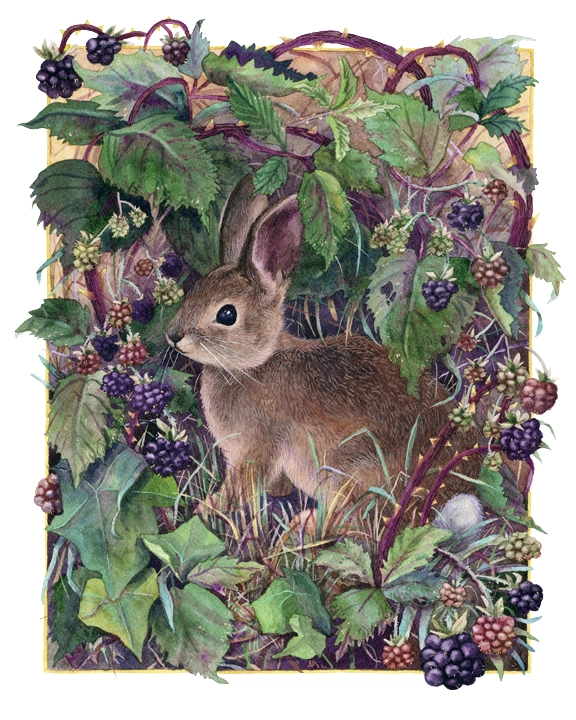 Bramble Bower 173-painting---sized-for-web-1583960667872.jpg