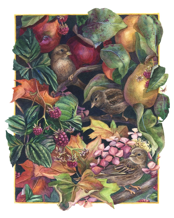 Autumn Jewels (Harvest) 173-painting---sized-for-web-15839607325364.jpg