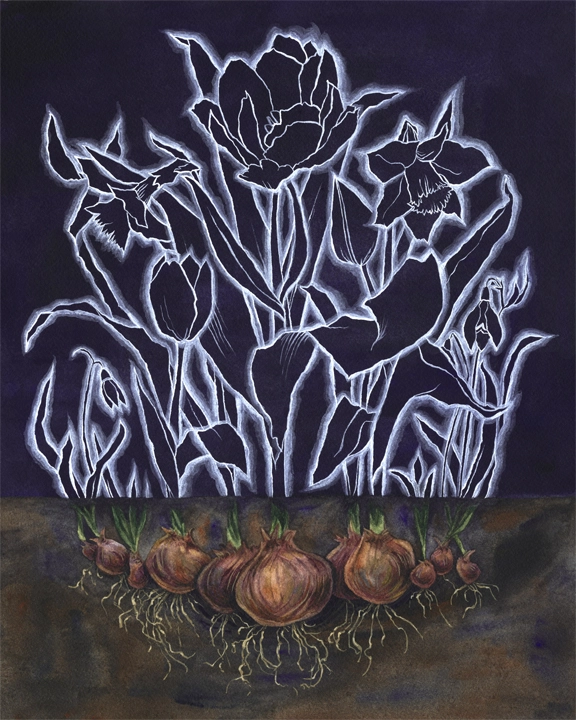 Bulb Dreams 173-painting---sized-for-web-15839608631397.jpg