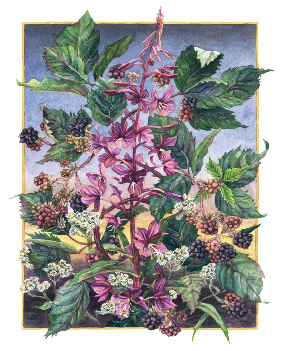 Wild Beauty 173-painting---sized-for-web-15839611530377.jpg