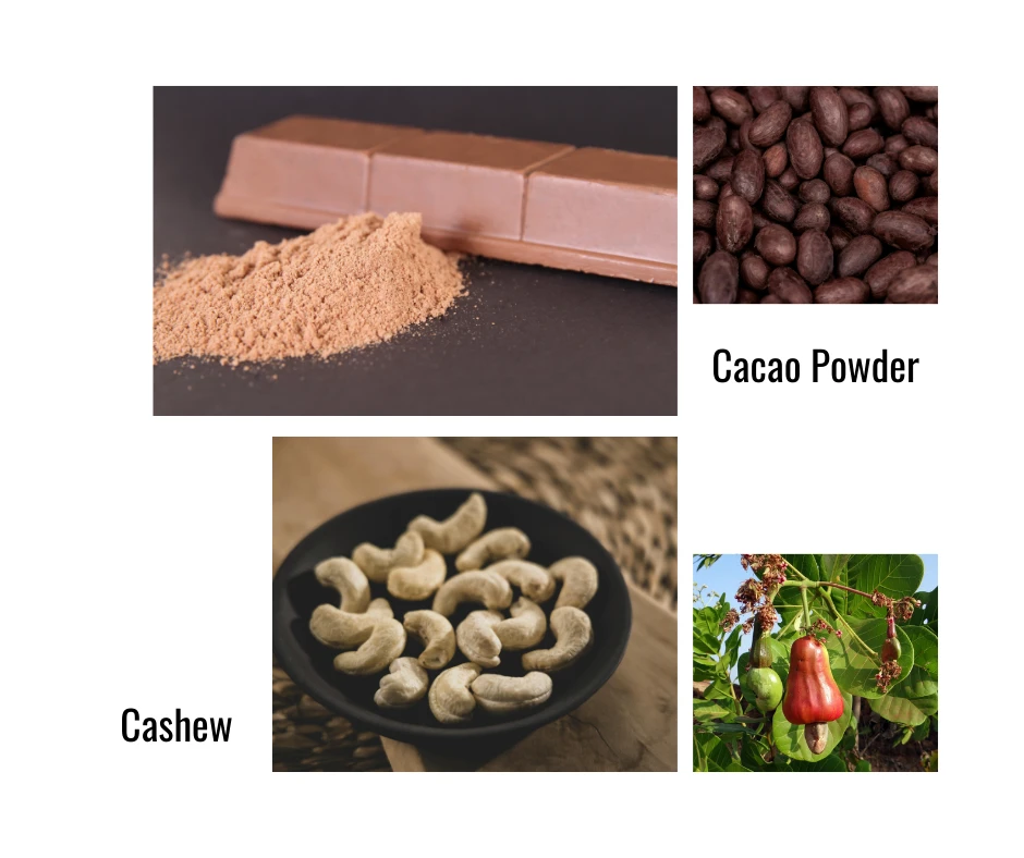 830-cacao-powder-cashew-17571421421815.png