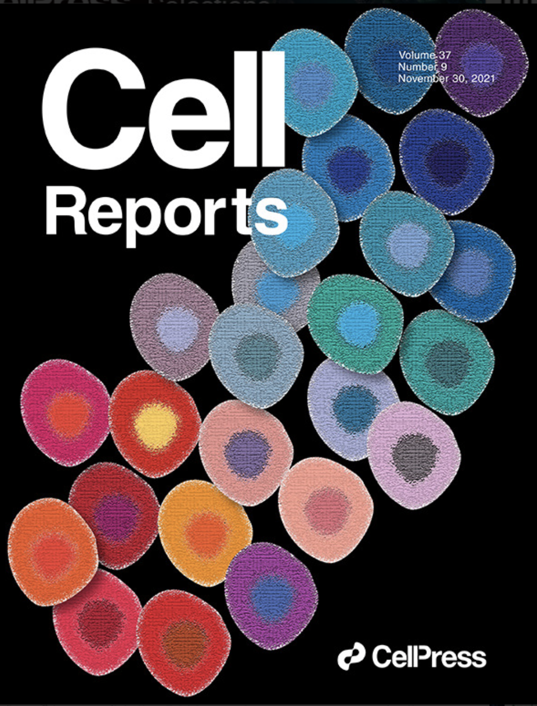 281-cell-reports-cover2021-16657755395794.png