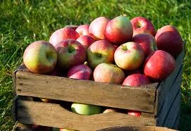 49-apples-in-box.jpg