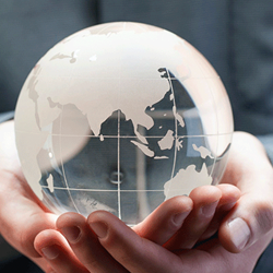 Мы не тестируем косметику на животных