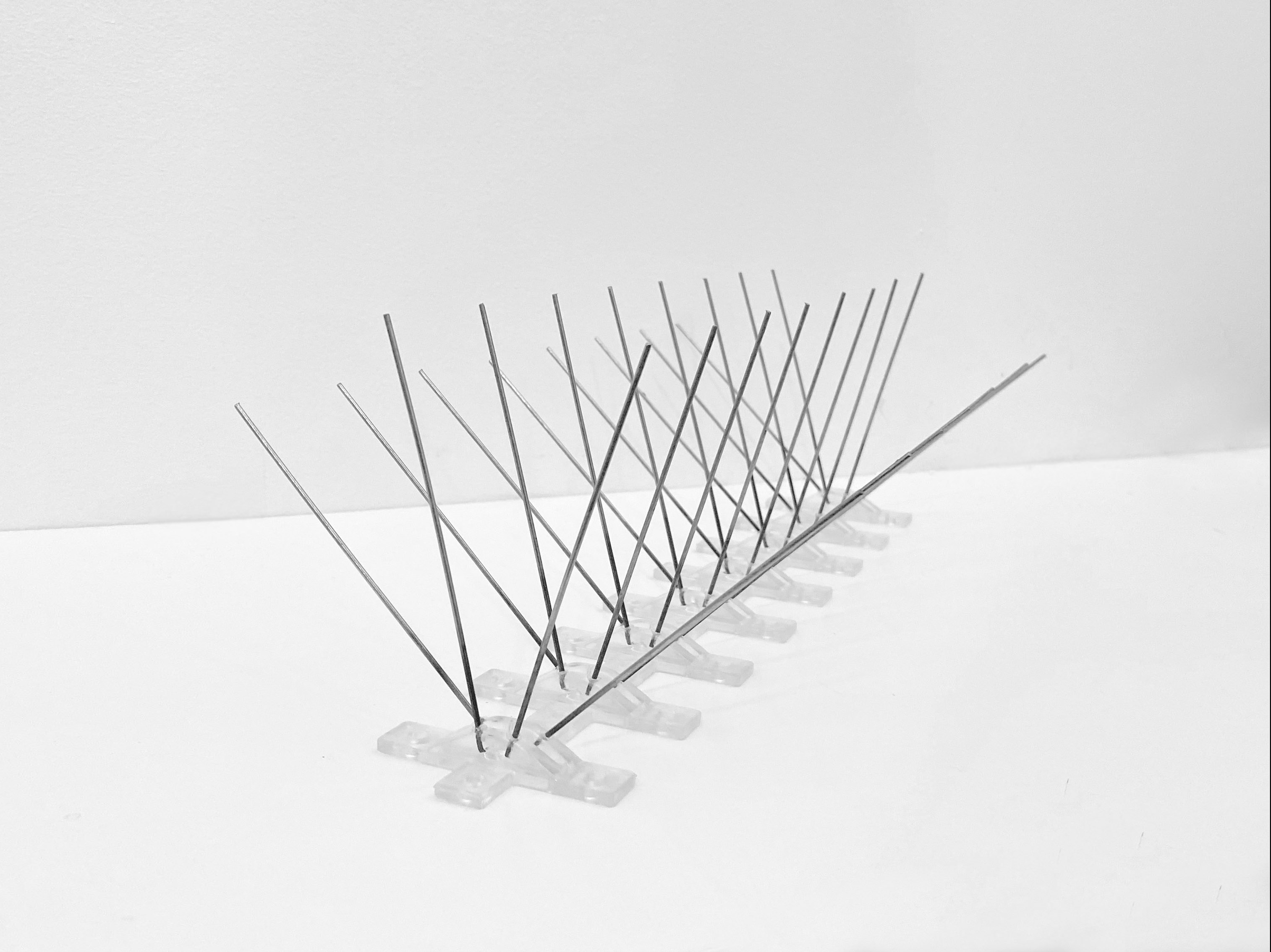 4 pin bird spikes