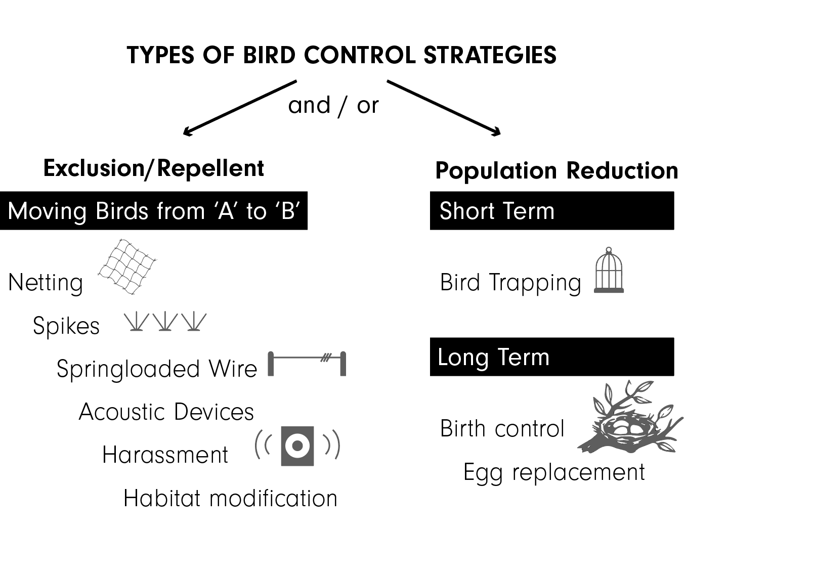 3501-bird-control-chart.png