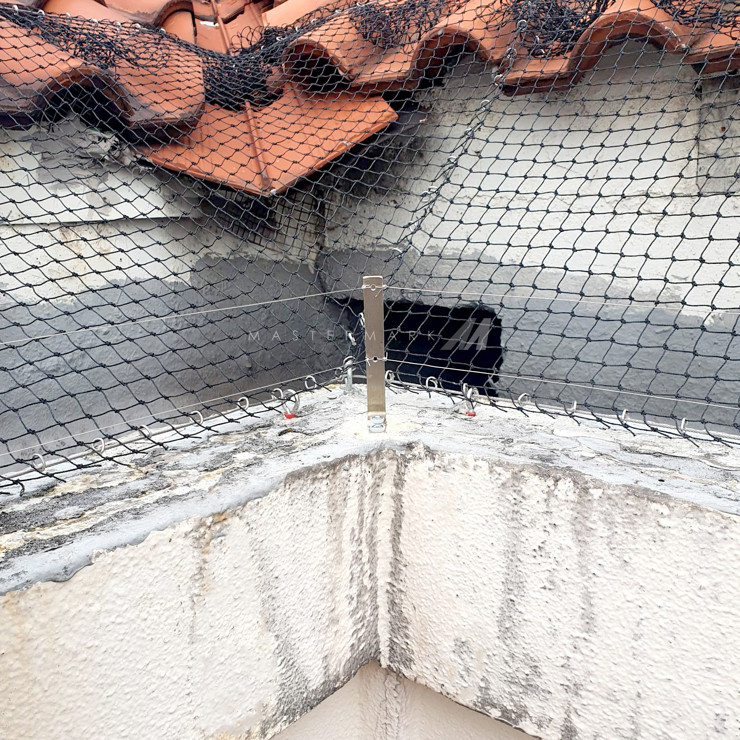 Roof bird netting and Spring tension wire