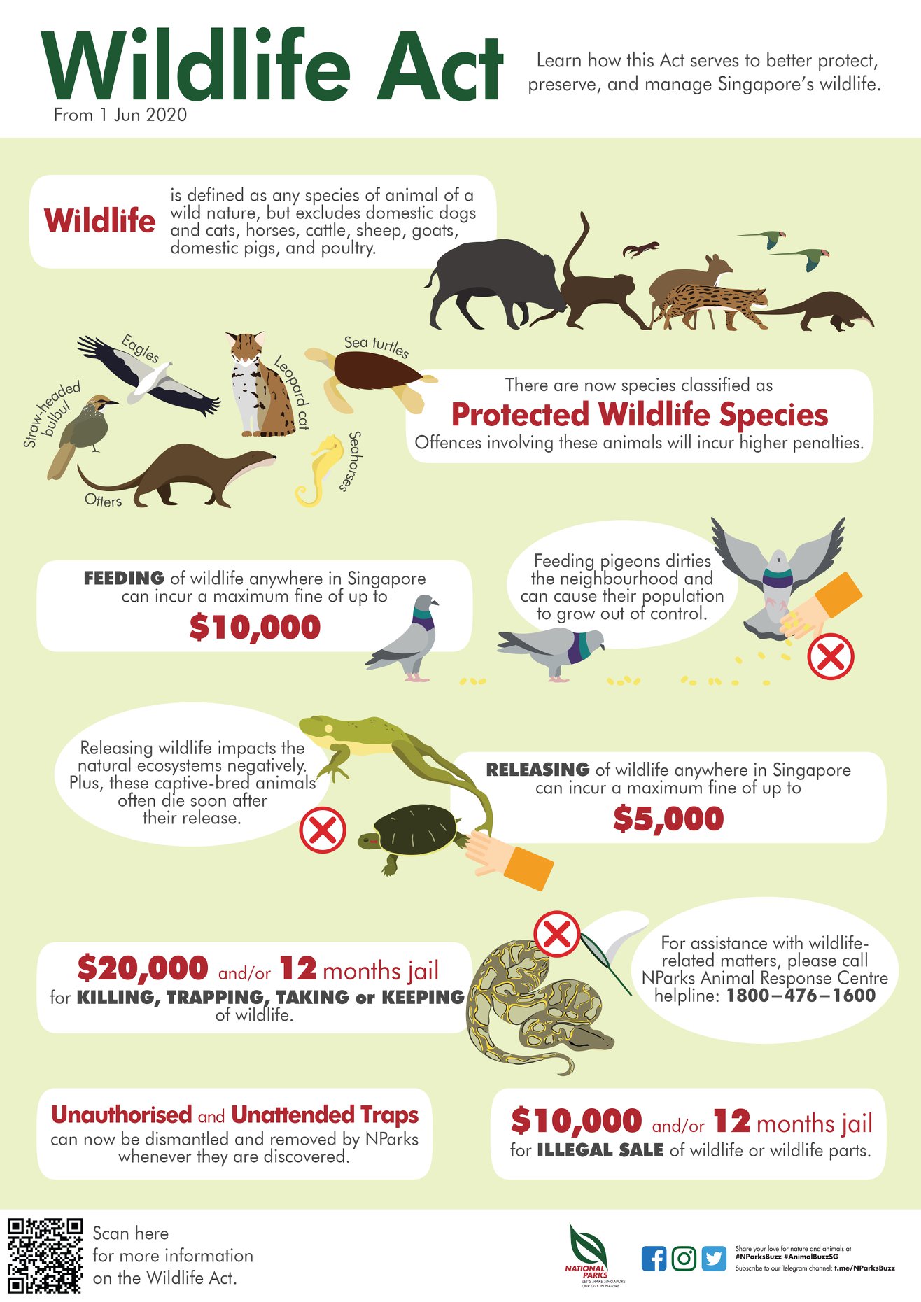Singapore Wildlife Act Infographic 3928-wildlife-act-inforgraphic.jpeg