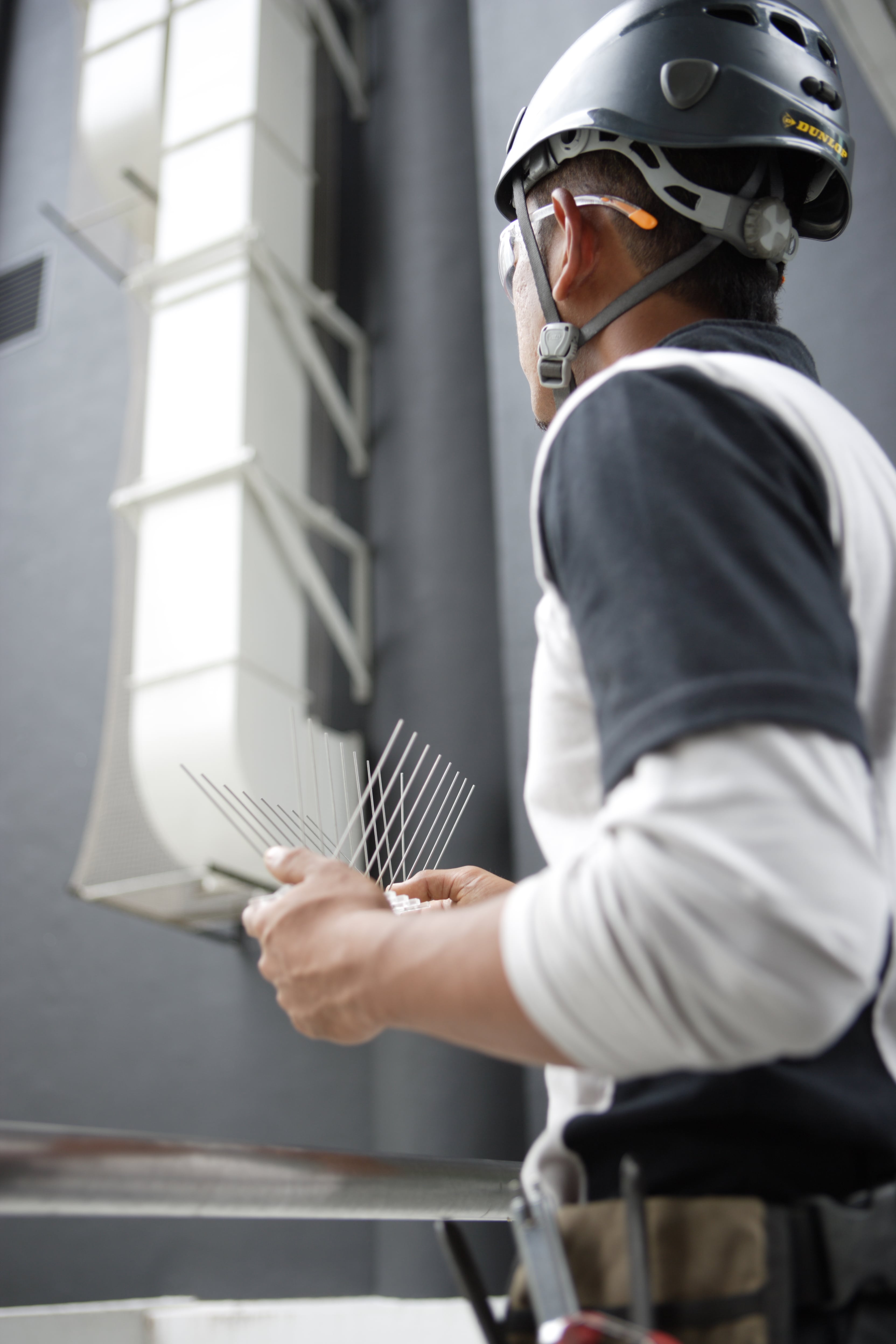 Bird Control Management 4164-ve3a0118-minjpg.jpg