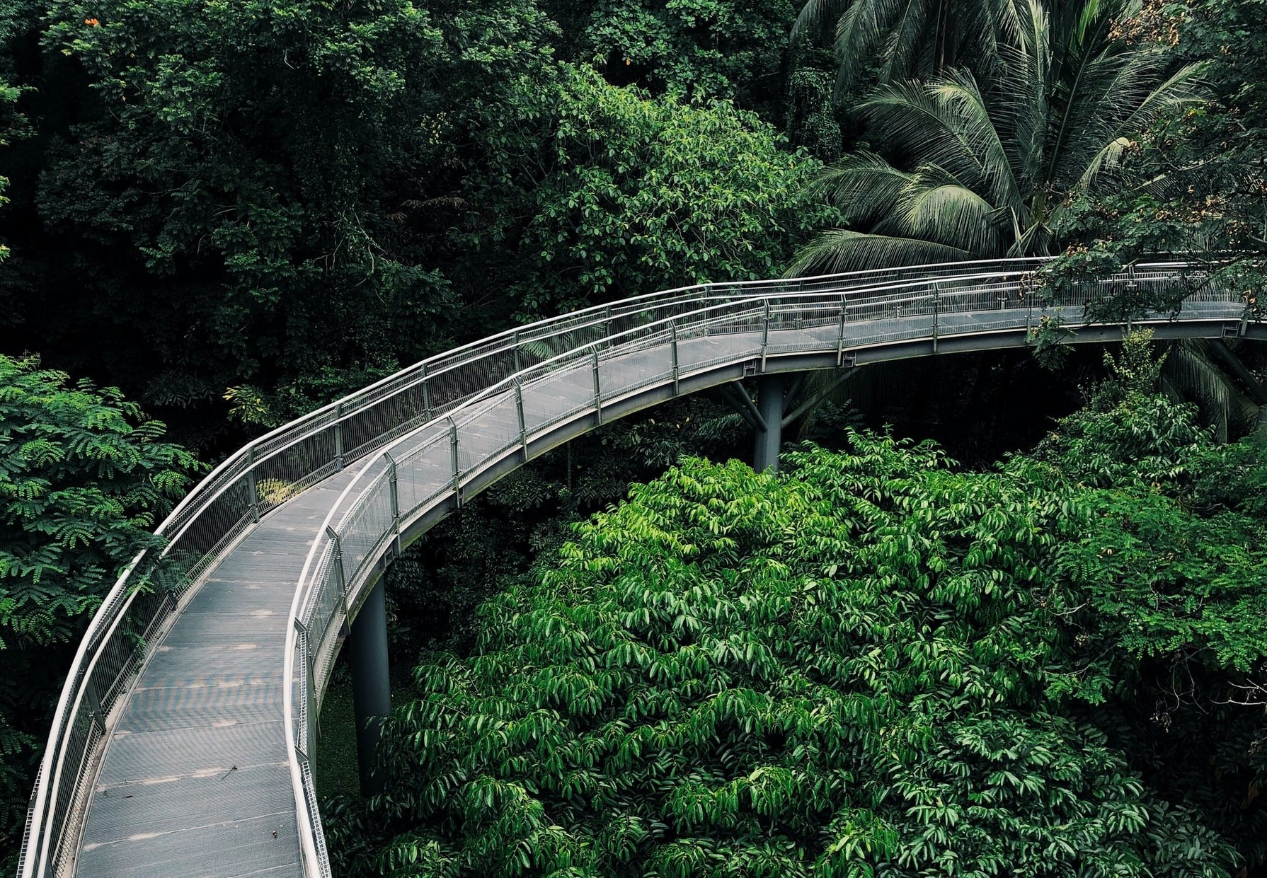 Bird Proofing Tools 61017901241862-xeoaeheymqa-16611404615344.jpg