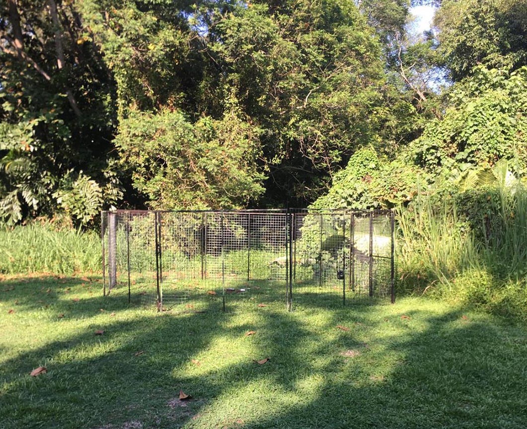 8010618643042-dog-corral-trap3.jpg